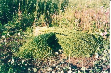 linberedning